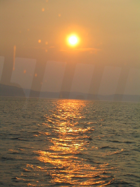 458x617 pixels (164K)