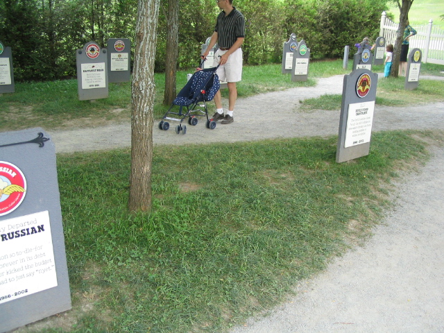 618x457 pixels (245K)